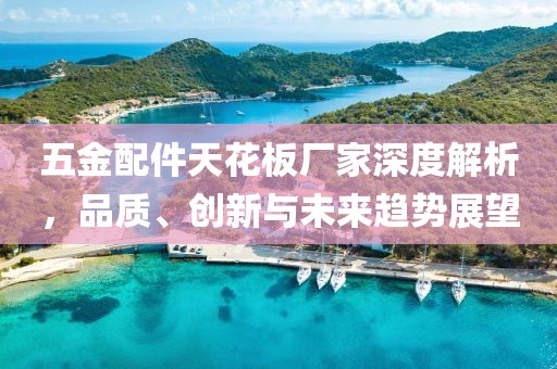 五金配件天花板厂家深度解析，品质、创新与未来趋势展望