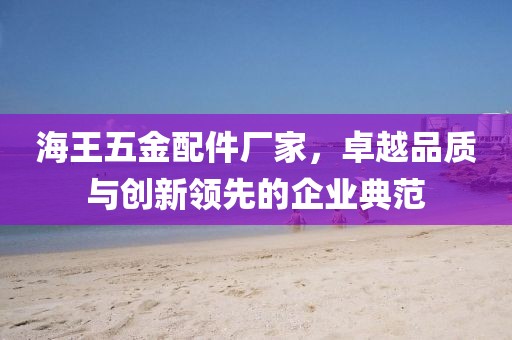 海王五金配件厂家，卓越品质与创新领先的企业典范