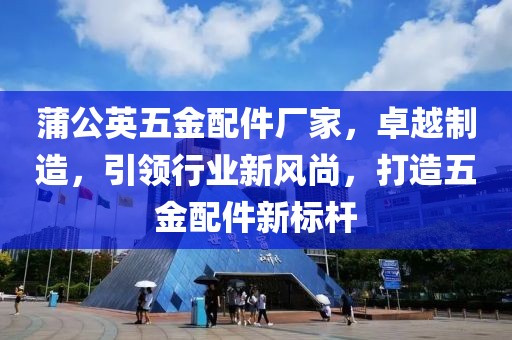 蒲公英五金配件厂家，卓越制造，引领行业新风尚，打造五金配件新标杆