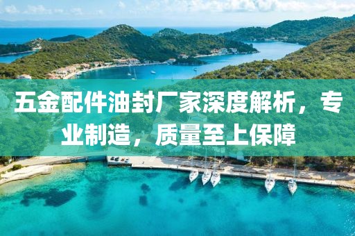 五金配件油封厂家深度解析，专业制造，质量至上保障