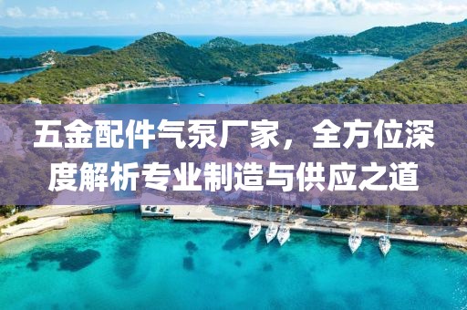 五金配件气泵厂家，全方位深度解析专业制造与供应之道