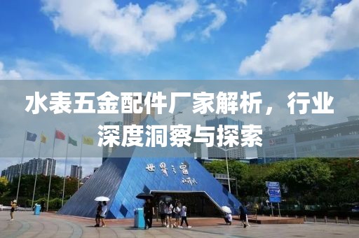 水表五金配件厂家解析，行业深度洞察与探索