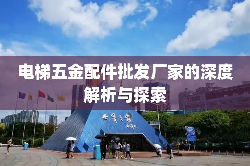 电梯五金配件批发厂家的深度解析与探索