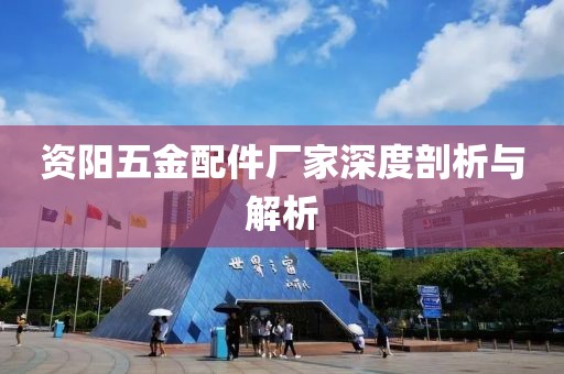 资阳五金配件厂家深度剖析与解析