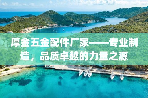 厚金五金配件厂家——专业制造，品质卓越的力量之源