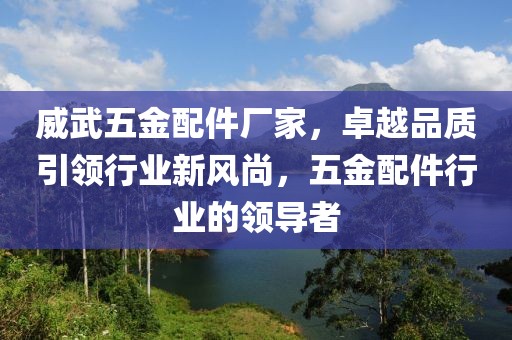 威武五金配件厂家，卓越品质引领行业新风尚，五金配件行业的领导者