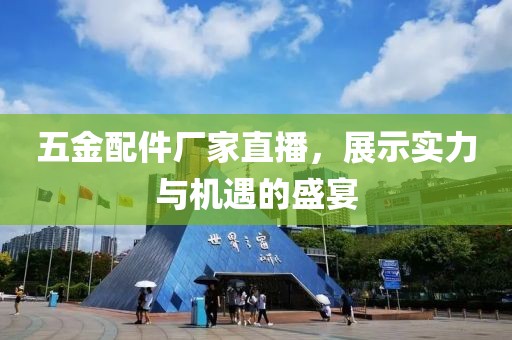 五金配件厂家直播，展示实力与机遇的盛宴