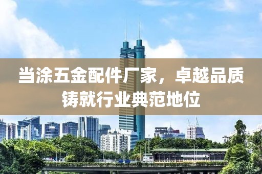 当涂五金配件厂家，卓越品质铸就行业典范地位