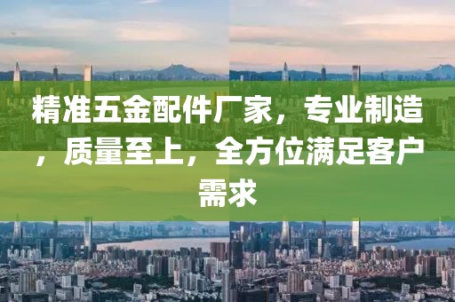 精准五金配件厂家，专业制造，质量至上，全方位满足客户需求