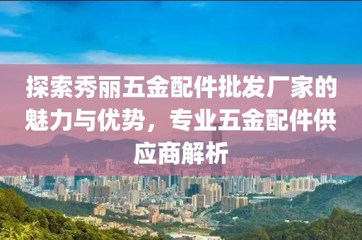 探索秀丽五金配件批发厂家的魅力与优势，专业五金配件供应商解析