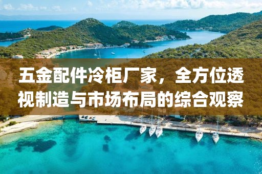 五金配件冷柜厂家，全方位透视制造与市场布局的综合观察