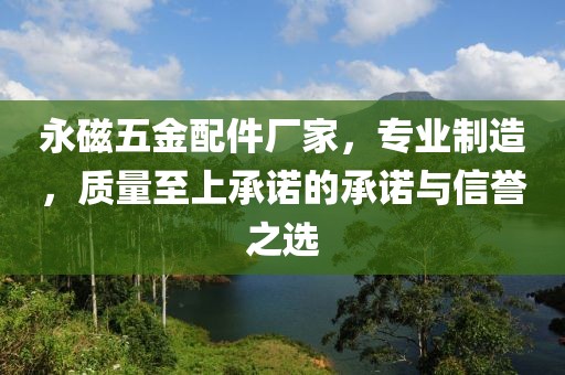 永磁五金配件厂家，专业制造，质量至上承诺的承诺与信誉之选