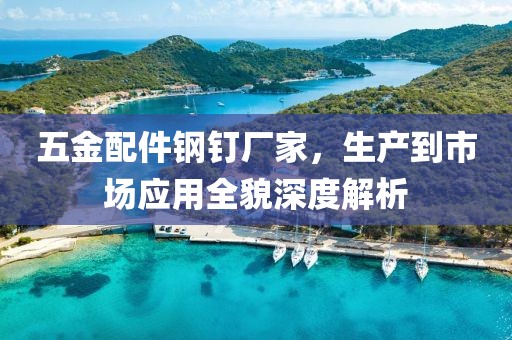 五金配件钢钉厂家，生产到市场应用全貌深度解析