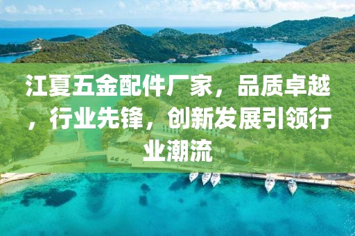 江夏五金配件厂家，品质卓越，行业先锋，创新发展引领行业潮流