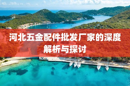 河北五金配件批发厂家的深度解析与探讨