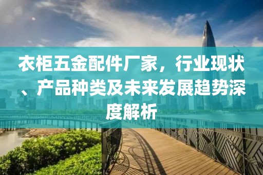 衣柜五金配件厂家，行业现状、产品种类及未来发展趋势深度解析