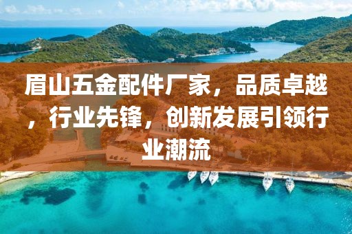 眉山五金配件厂家，品质卓越，行业先锋，创新发展引领行业潮流