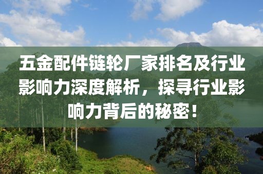 五金配件链轮厂家排名及行业影响力深度解析，探寻行业影响力背后的秘密！