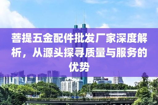 菩提五金配件批发厂家深度解析，从源头探寻质量与服务的优势