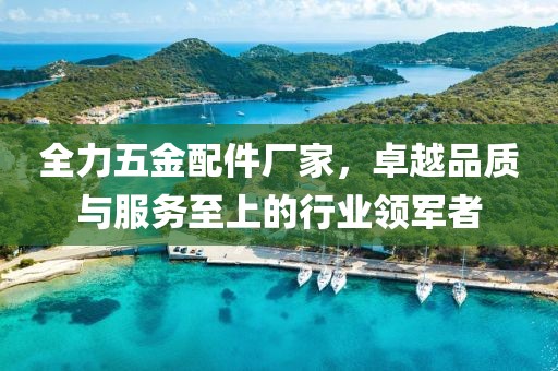 全力五金配件厂家，卓越品质与服务至上的行业领军者