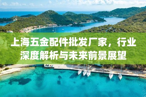 上海五金配件批发厂家，行业深度解析与未来前景展望