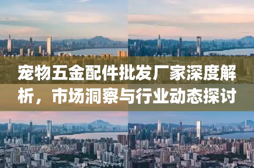 宠物五金配件批发厂家深度解析，市场洞察与行业动态探讨