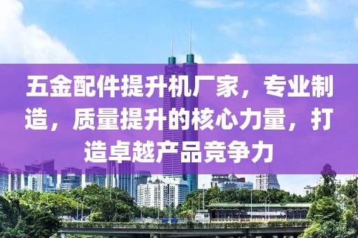 五金配件提升机厂家，专业制造，质量提升的核心力量，打造卓越产品竞争力