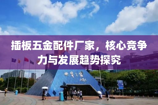 插板五金配件厂家，核心竞争力与发展趋势探究