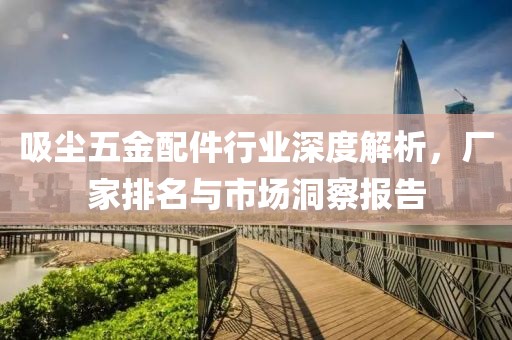 吸尘五金配件行业深度解析，厂家排名与市场洞察报告