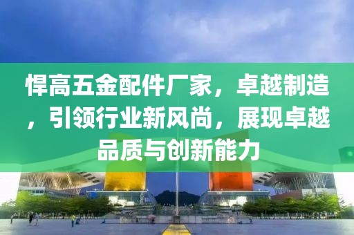 悍高五金配件厂家，卓越制造，引领行业新风尚，展现卓越品质与创新能力