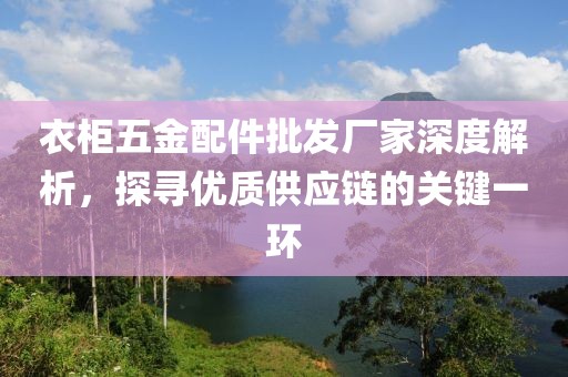 衣柜五金配件批发厂家深度解析，探寻优质供应链的关键一环