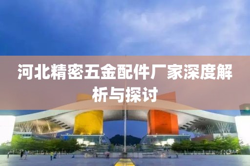 河北精密五金配件厂家深度解析与探讨