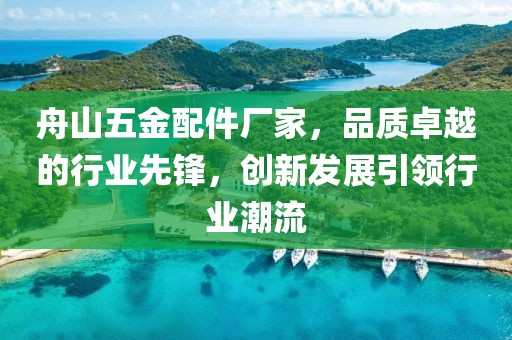 舟山五金配件厂家，品质卓越的行业先锋，创新发展引领行业潮流