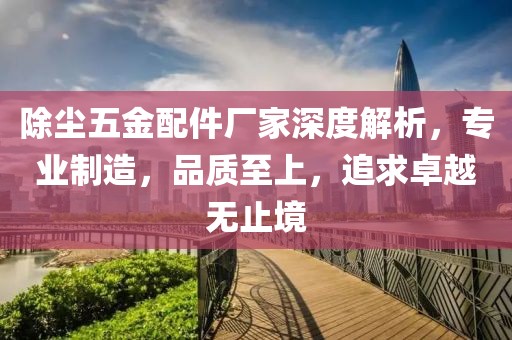 除尘五金配件厂家深度解析，专业制造，品质至上，追求卓越无止境