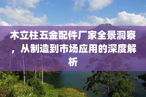 木立柱五金配件厂家全景洞察，从制造到市场应用的深度解析