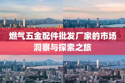 燃气五金配件批发厂家的市场洞察与探索之旅