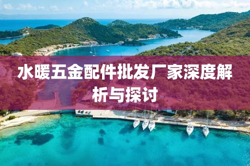 水暖五金配件批发厂家深度解析与探讨