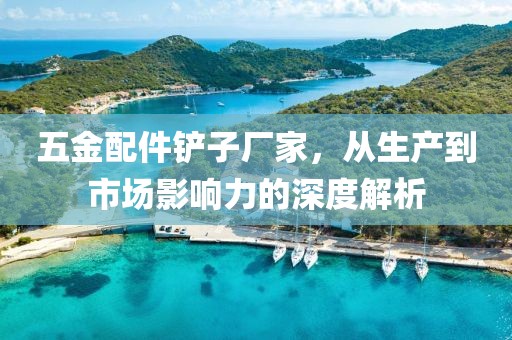 五金配件铲子厂家，从生产到市场影响力的深度解析