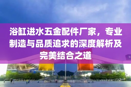 浴缸进水五金配件厂家，专业制造与品质追求的深度解析及完美结合之道