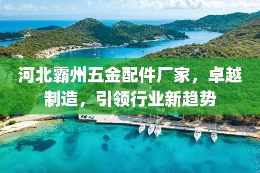 河北霸州五金配件厂家，卓越制造，引领行业新趋势