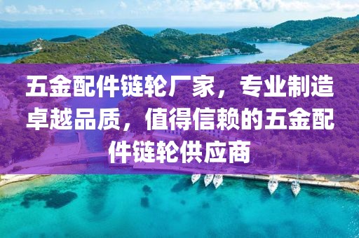 五金配件链轮厂家，专业制造卓越品质，值得信赖的五金配件链轮供应商